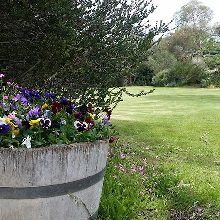 Padthaway Caravan Park エクステリア 写真