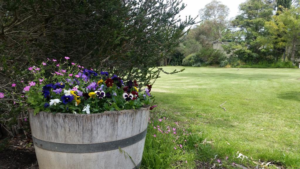 Padthaway Caravan Park エクステリア 写真