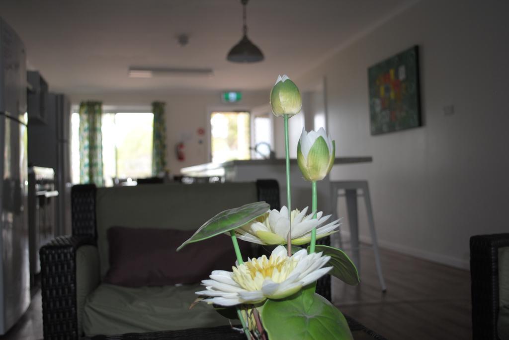 Padthaway Caravan Park エクステリア 写真